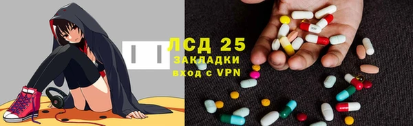 ГАЛЛЮЦИНОГЕННЫЕ ГРИБЫ Балахна