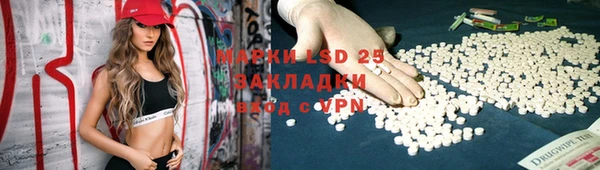 ГАЛЛЮЦИНОГЕННЫЕ ГРИБЫ Балахна